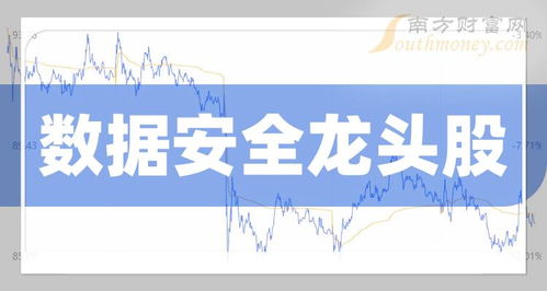 中国数据安全龙头股名单 聚焦网络与信息安全软件开发企业