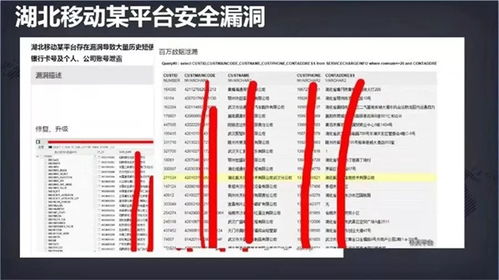 守护数字身份 网络安全周下，应对个人信息泄露与安全软件的选择之道